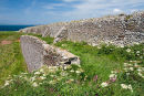 Kensignton Wall